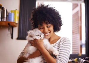 tips for cat owners in port st. lucie, fl