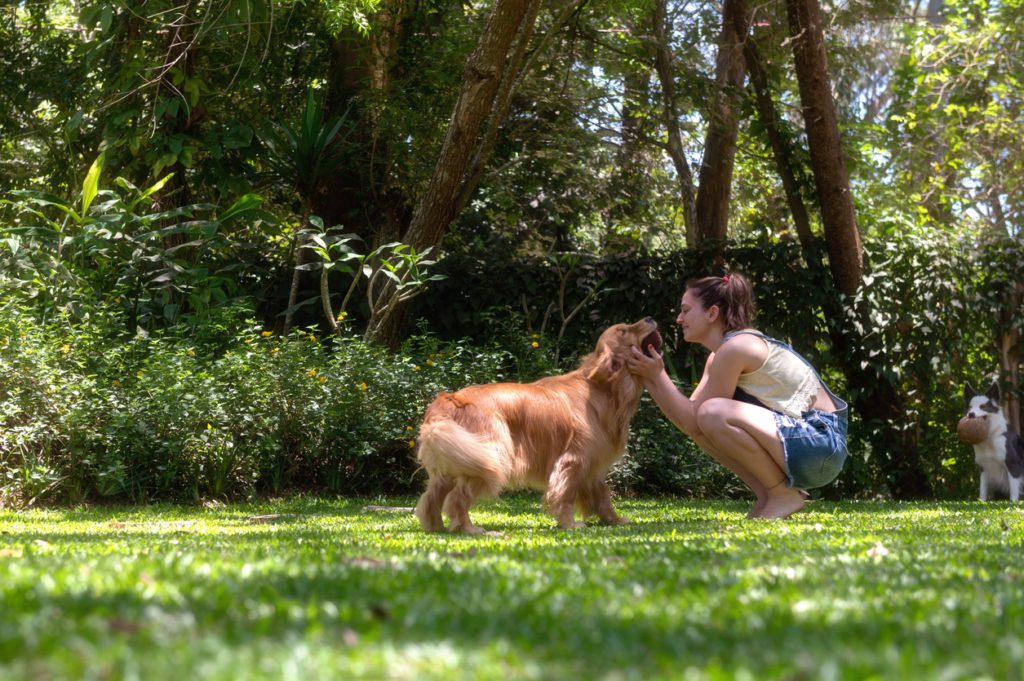 woman playing with the dog in a park